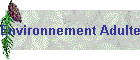 Environnement Adulte