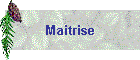 Maitrise