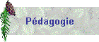 Pdagogie